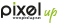 PIXEL up